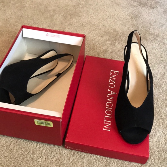 enzo angiolini brand